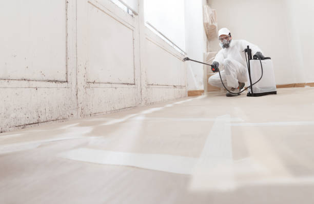 24/7 Emergency Mold Removal experts in Smithfield, VA