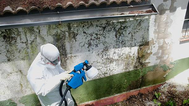 Top rated local Mold Removal specialists in Smithfield, VA